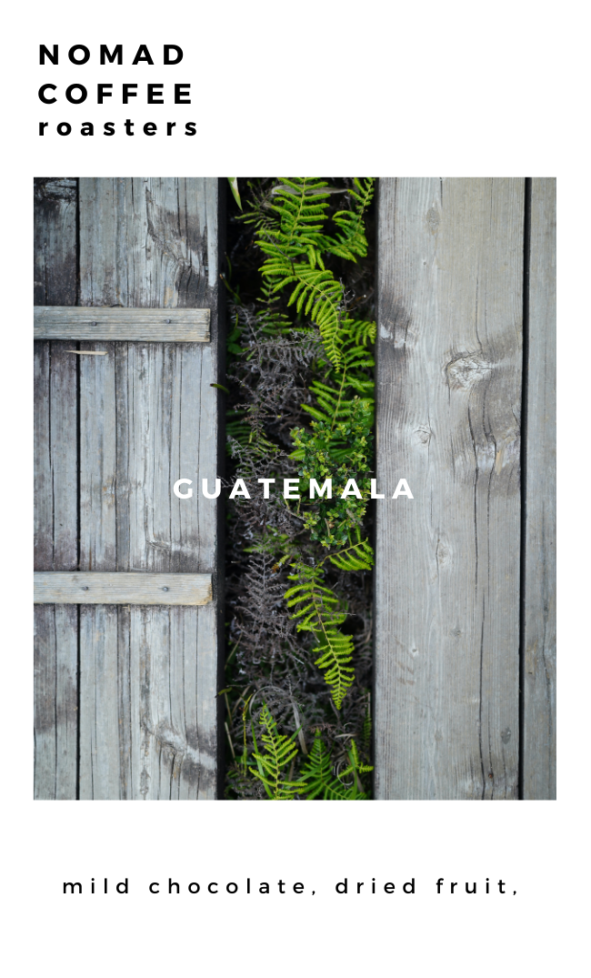 GUATEMALA  / HUEHUETENANGO【120g】(西川 順喜さん)のメインイメージ
